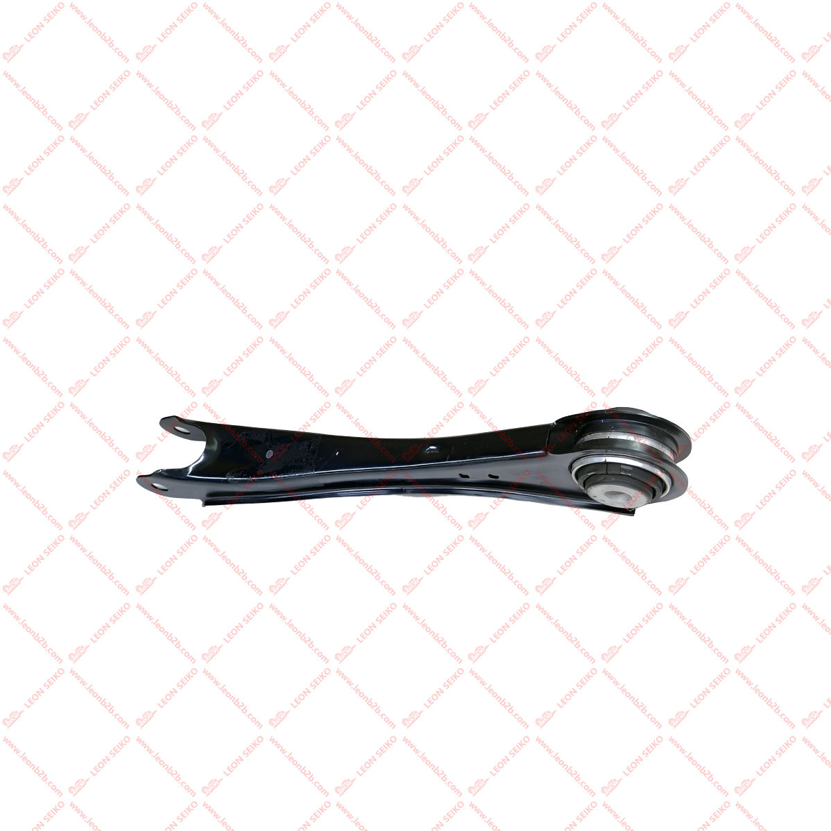 X01-29140011_LEON