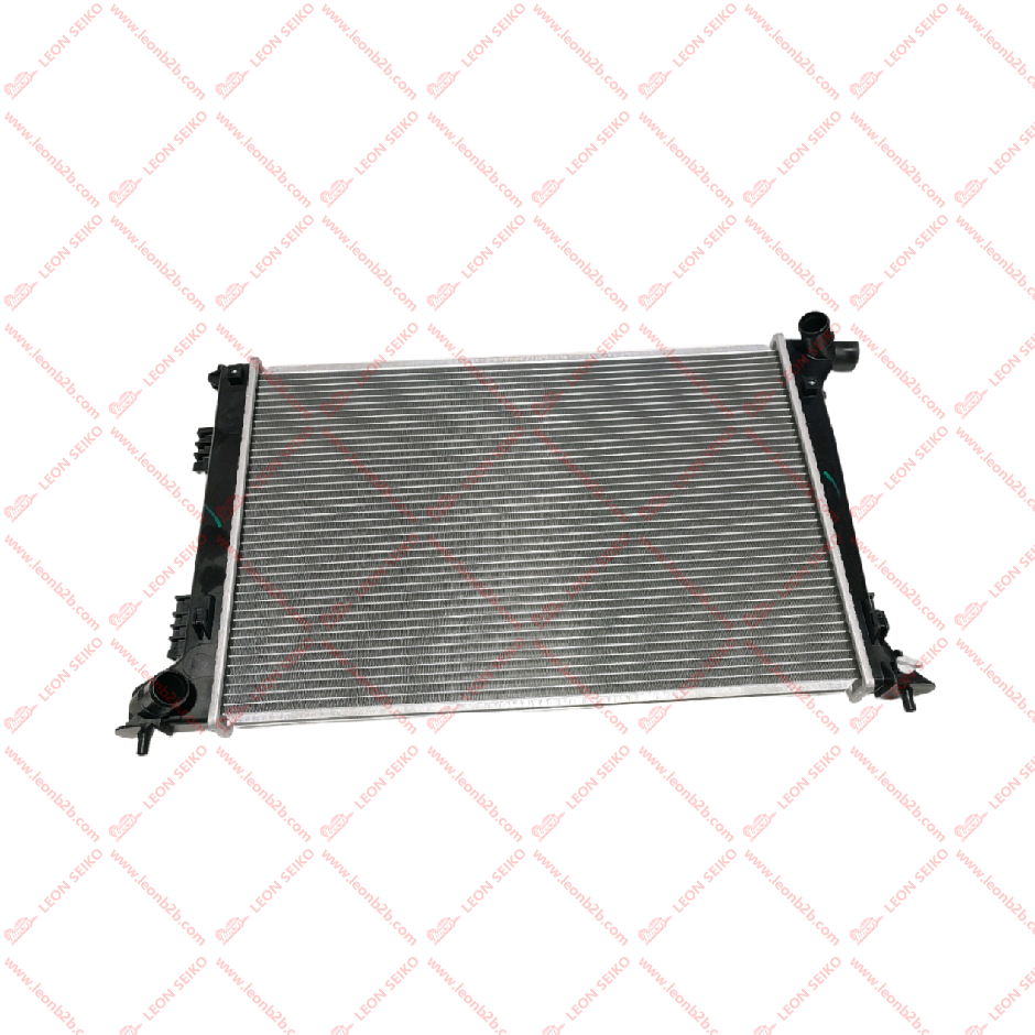 25310-D9900_LEON