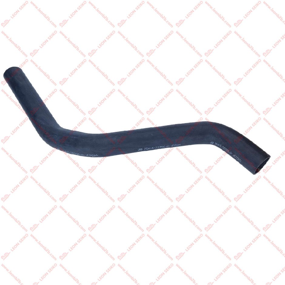 25415-3D700_LEON