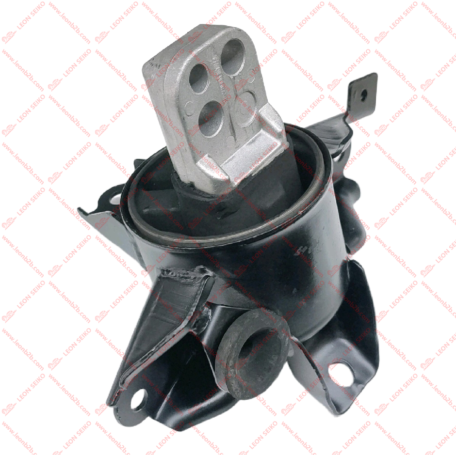 21830-0Q100_LEON