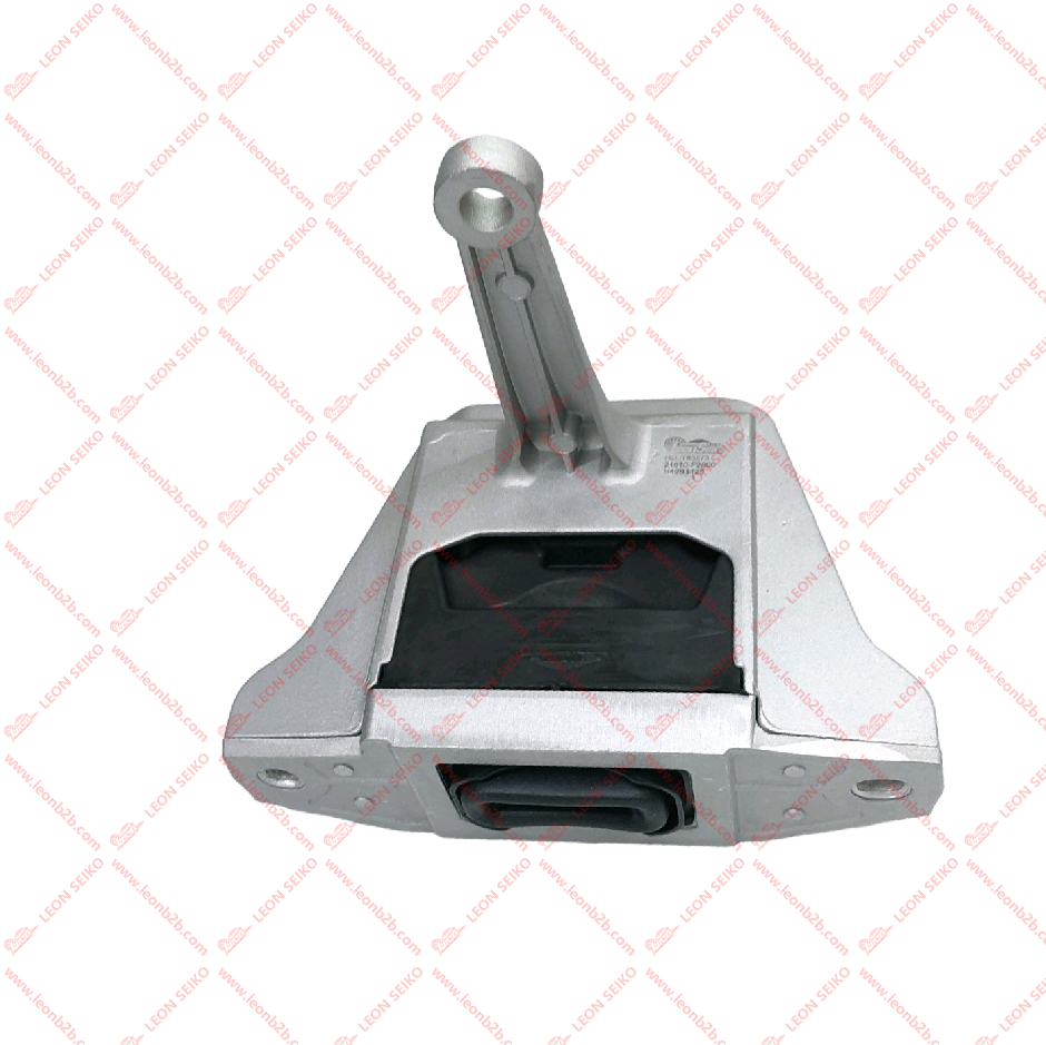 21810-F2000_LEON