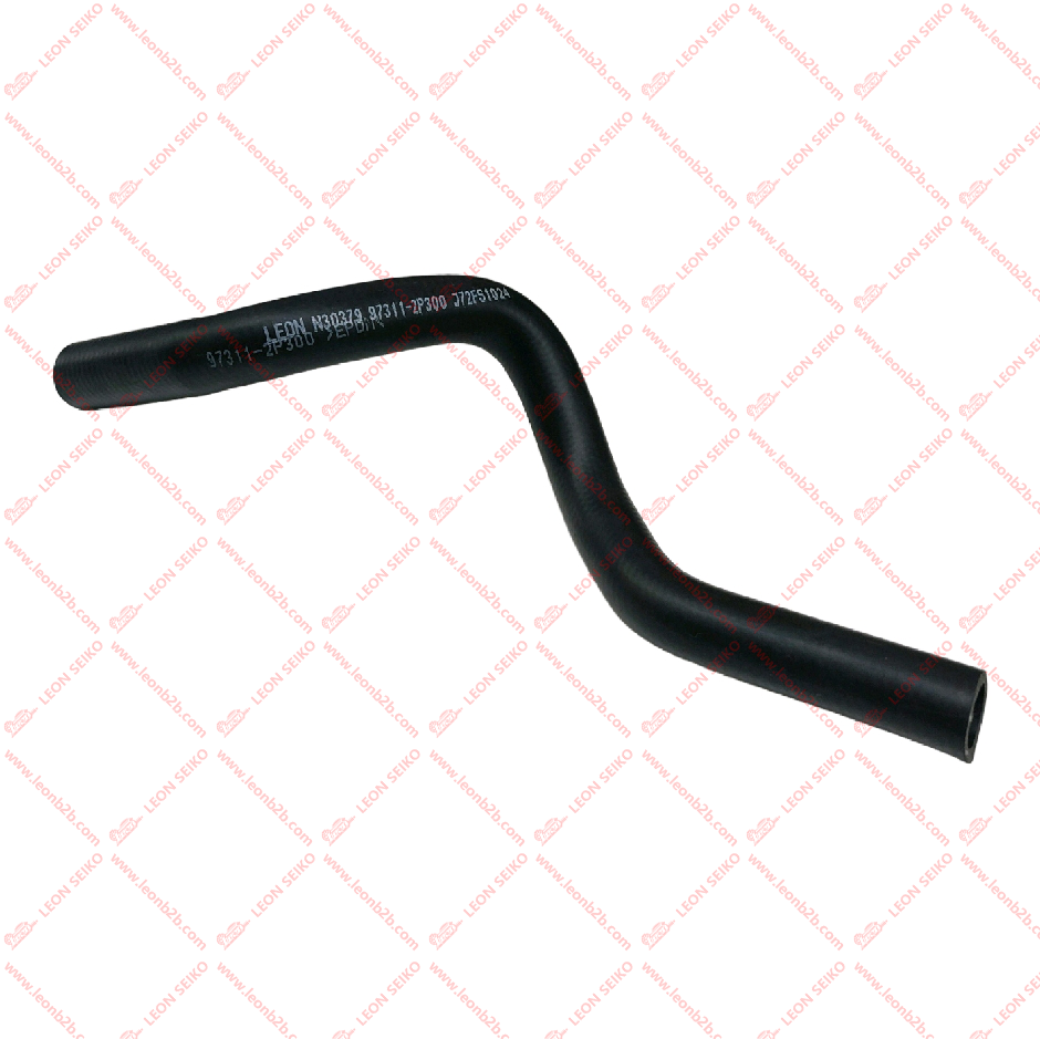 97311-2P300_LEON
