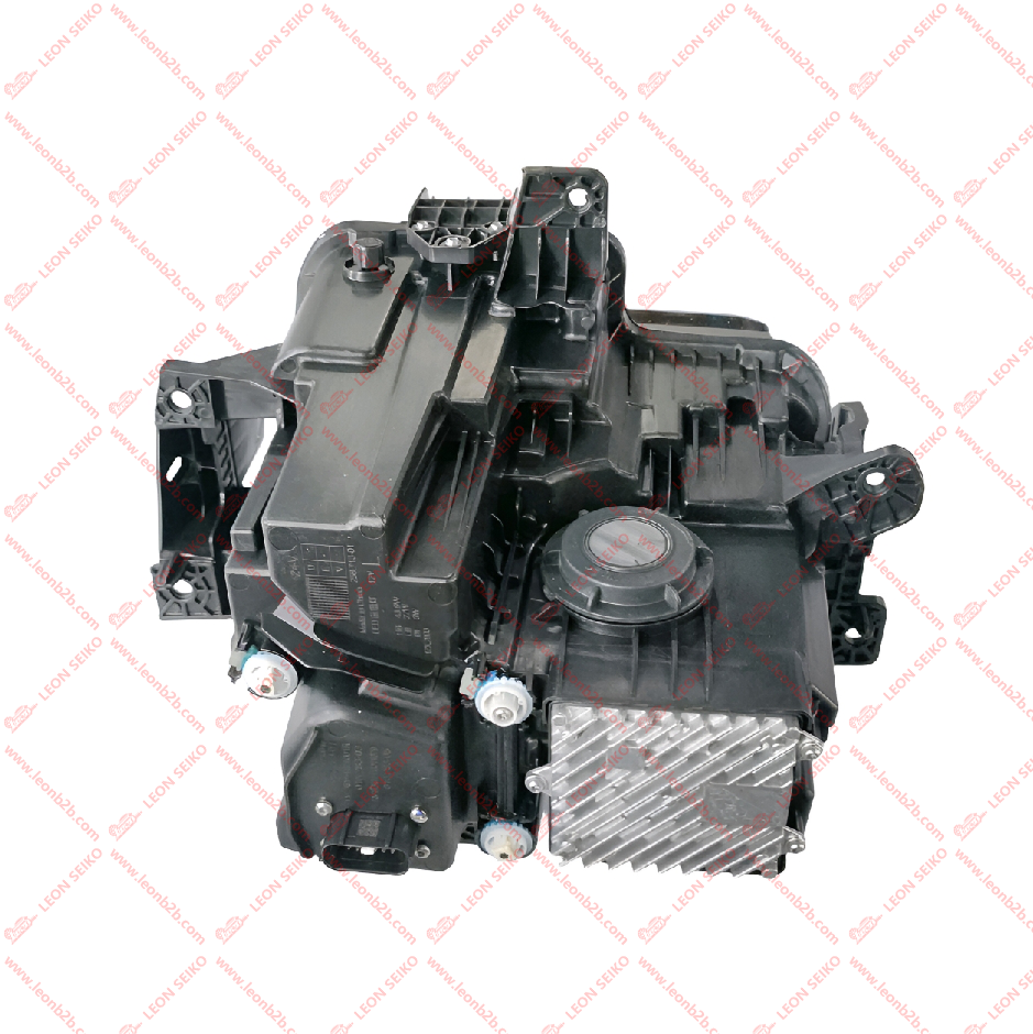 X01-53011079X_LEON