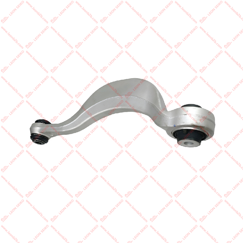 X01-29140020_LEON