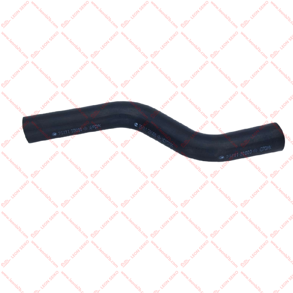 25411-3D000_LEON