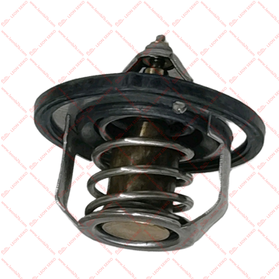 25500-2A100_LEON