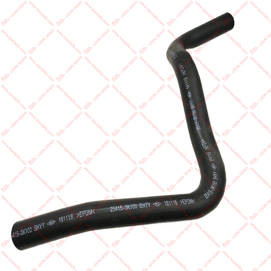 25415-3K100_LEON