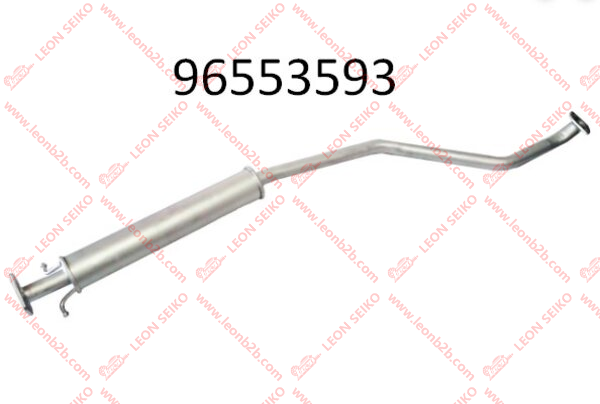 96553593_LEON