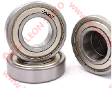 6205ZZ_LEON