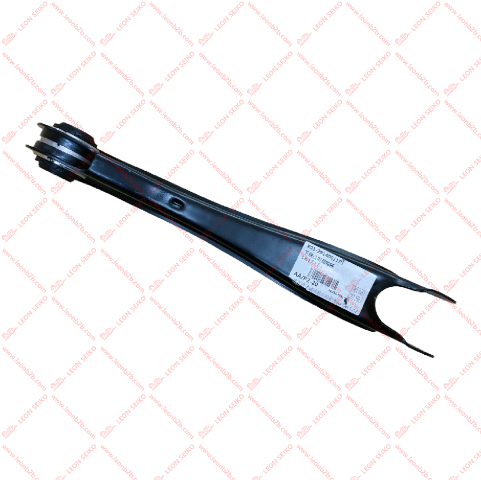 X01-29140011_LEON