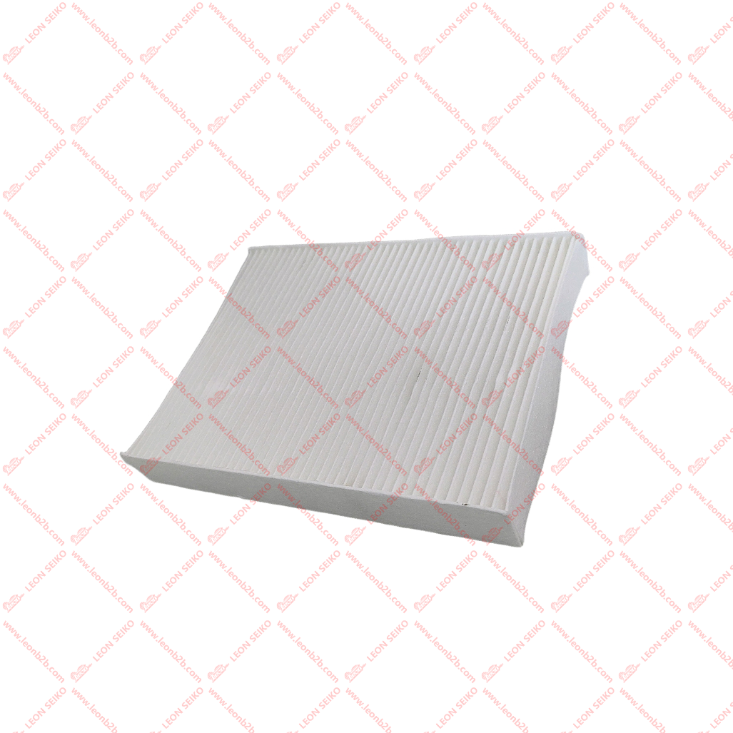 T15-8107011_LEON