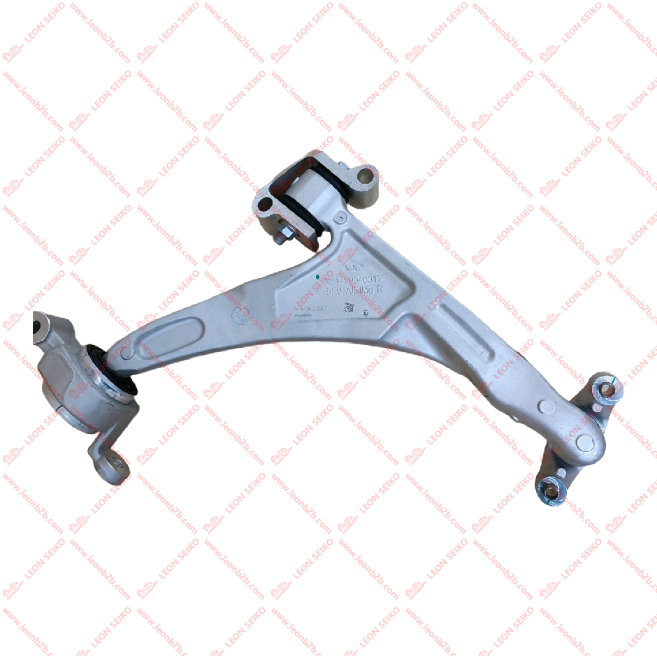 X01-29040017_LEON