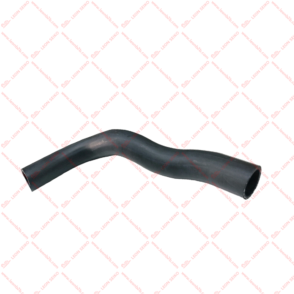 25411-4F100_LEON