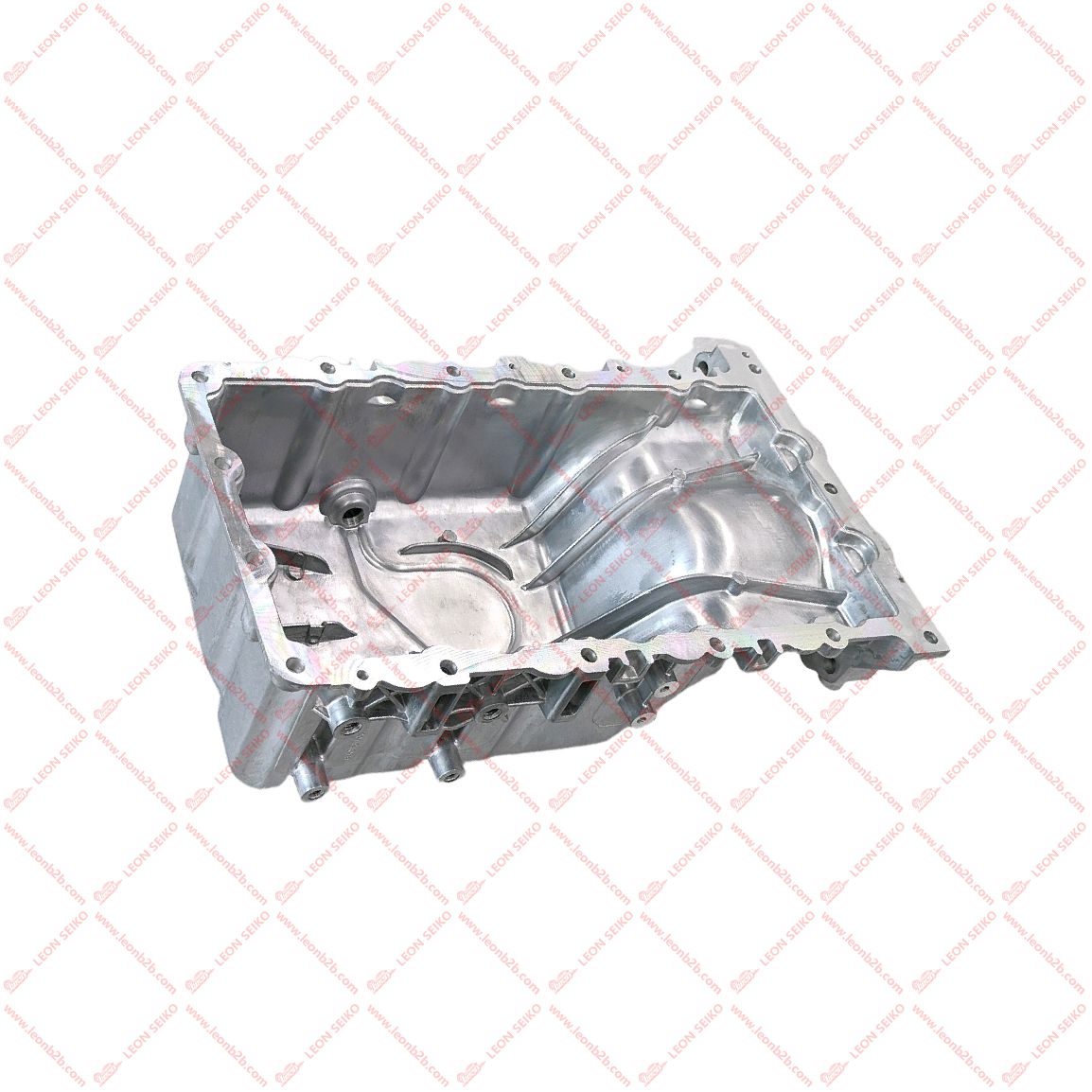 E4G16-1009010_LEON