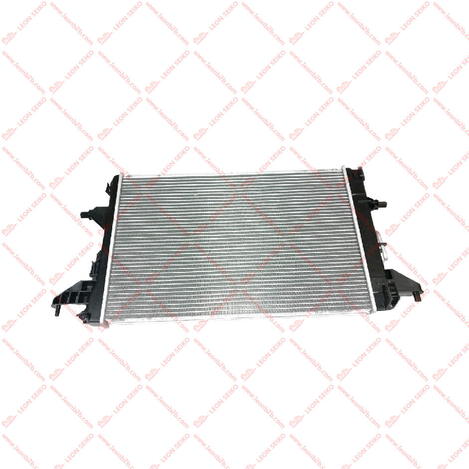25310-AA100_LEON
