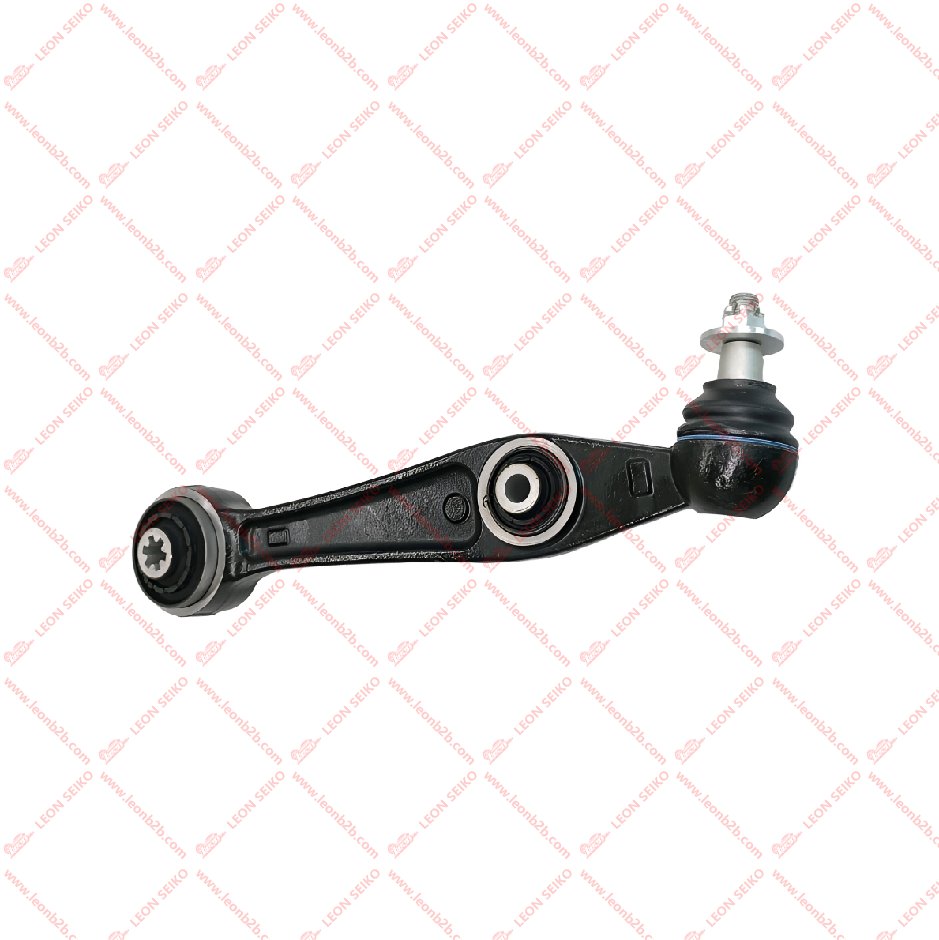 54500-T6000_LEON