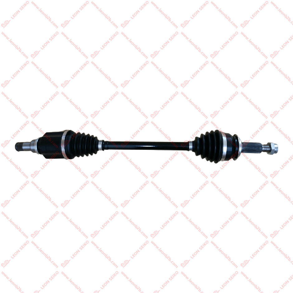X01-22030011_LEON