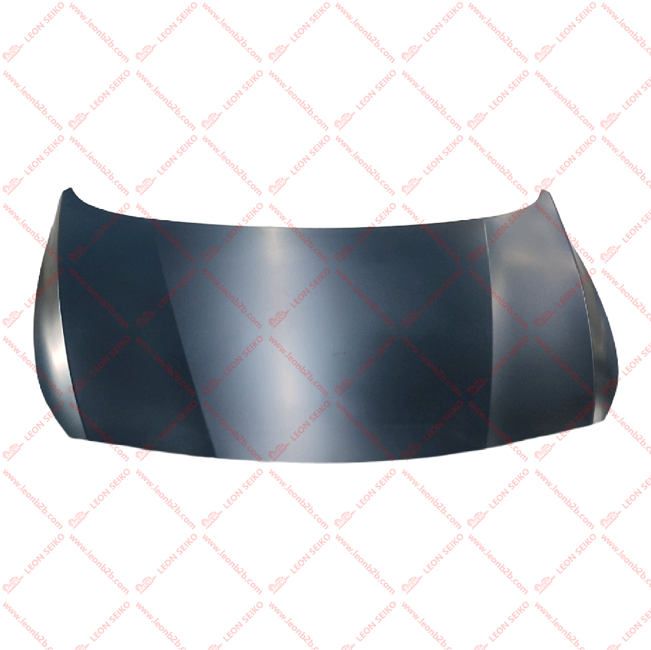 66400-4L300_LEON