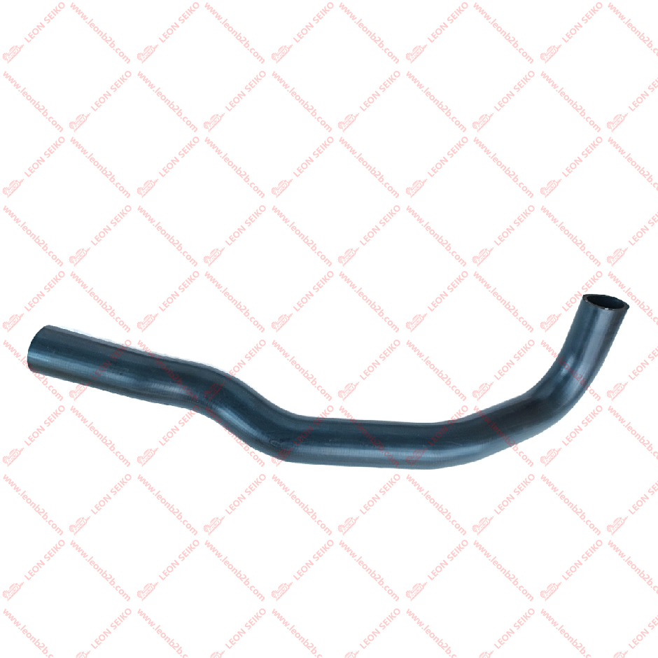 25411-07000_LEON