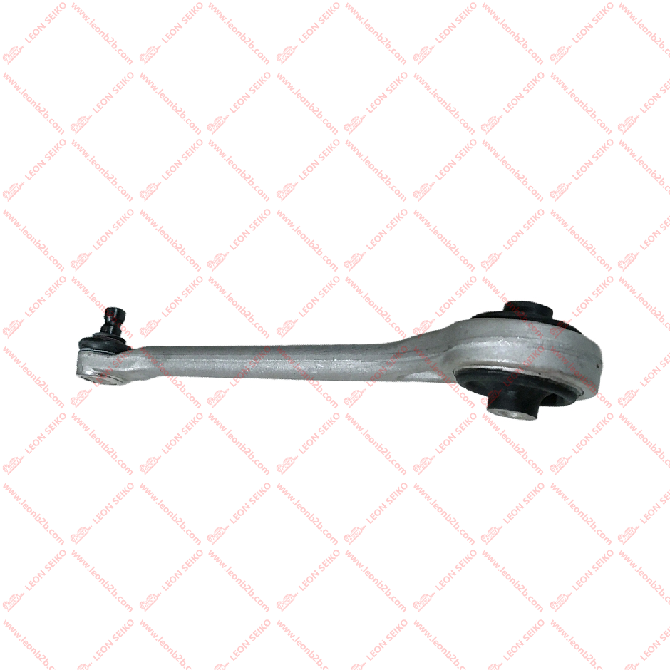 4D0407505B_LEON