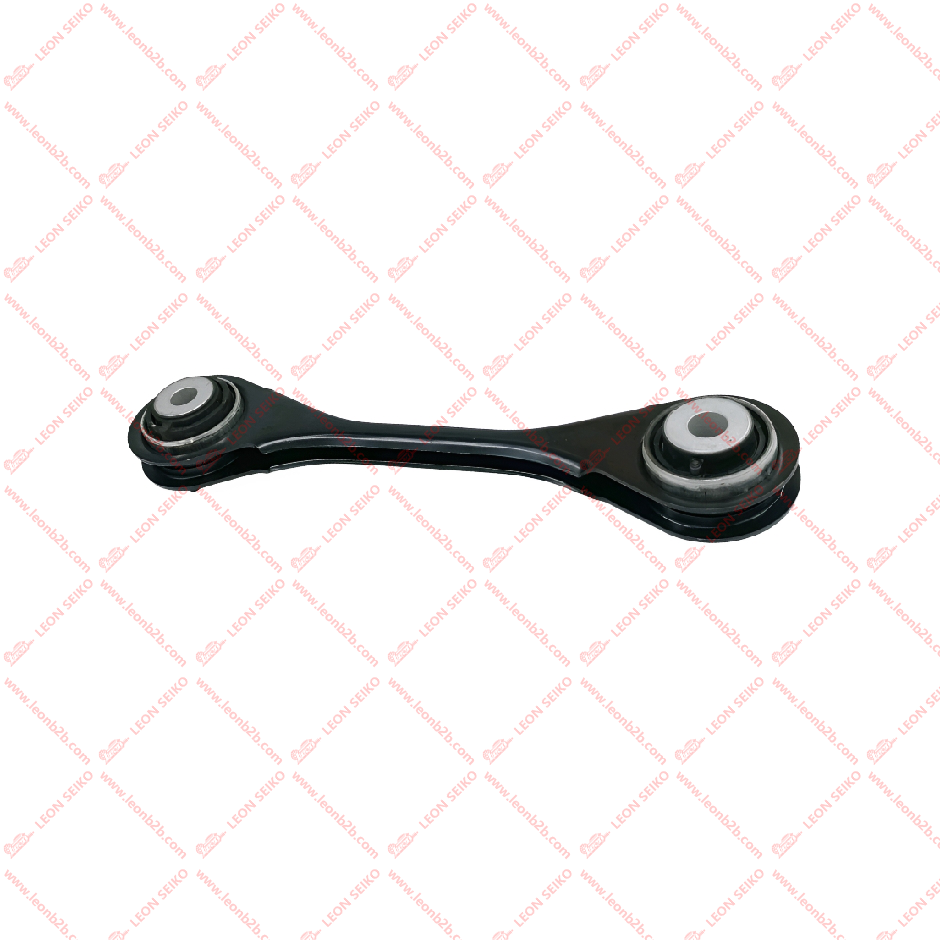 X01-29140015_LEON