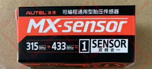 道通品牌_中性