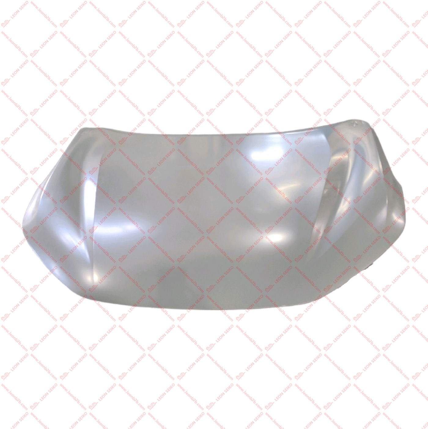 8402100-DS01DY_LEON