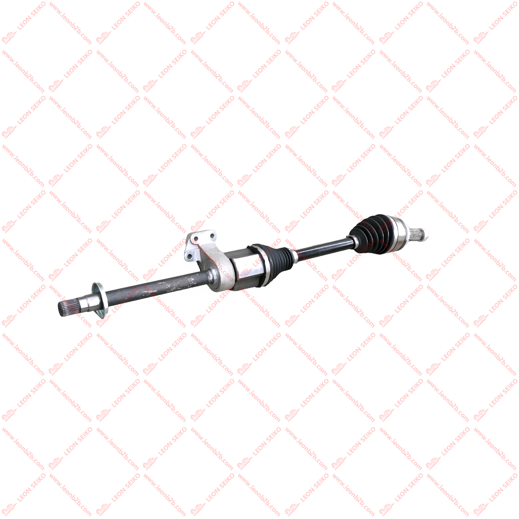 2203200-MK06-CD06_LEON