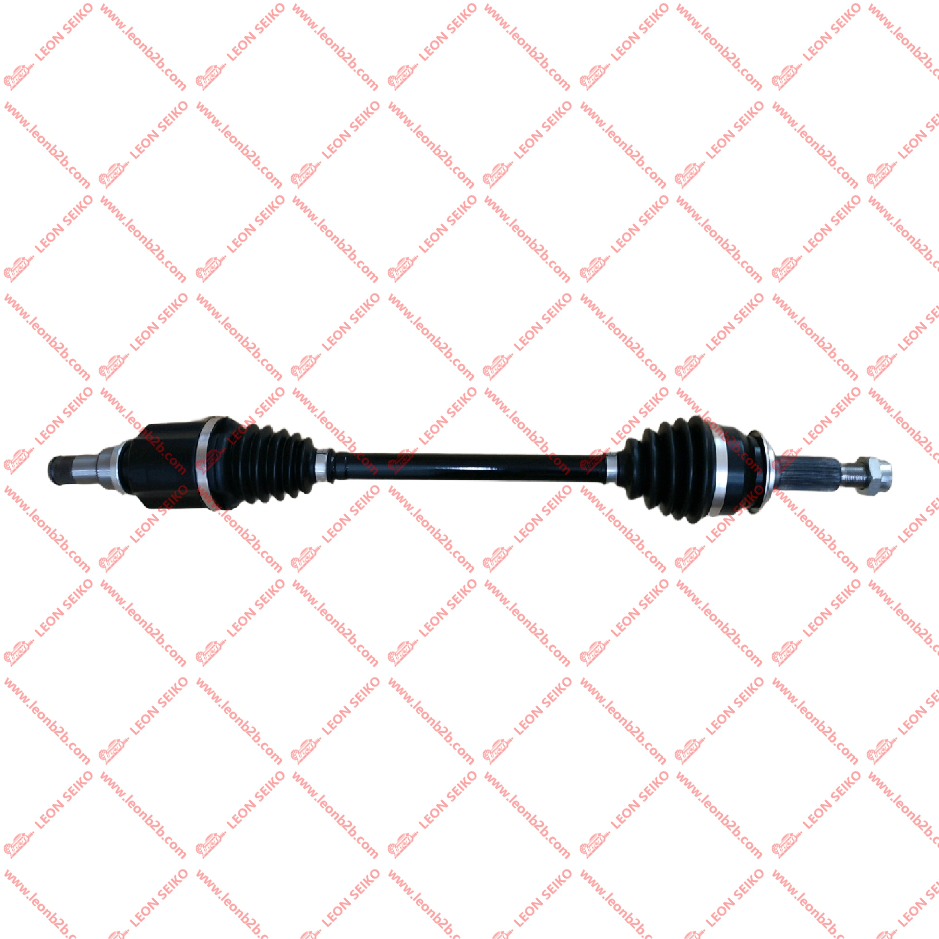 X01-22030011_LEON