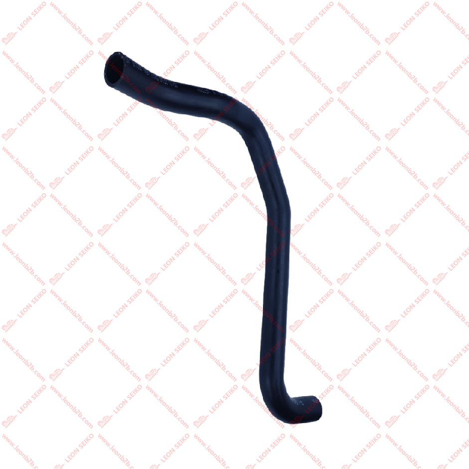 25411-2S100_LEON