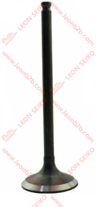 641048_LEON