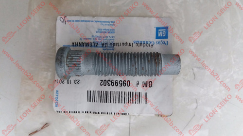 09599302_LEON