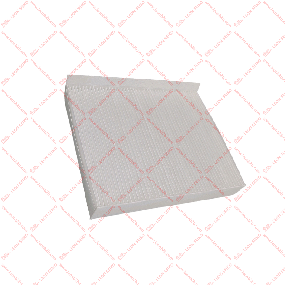 8119030-PT03_LEON