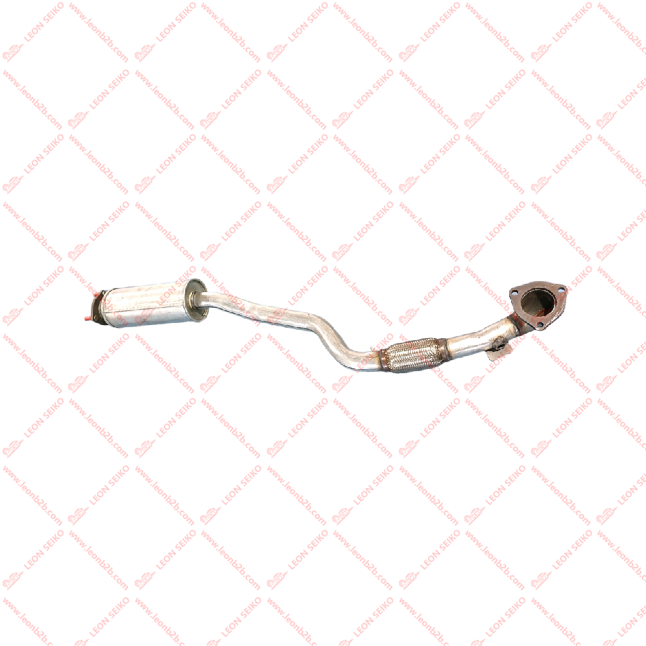 95076047_LEON