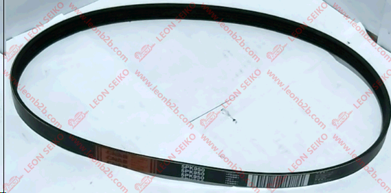 5PK950_BEAR