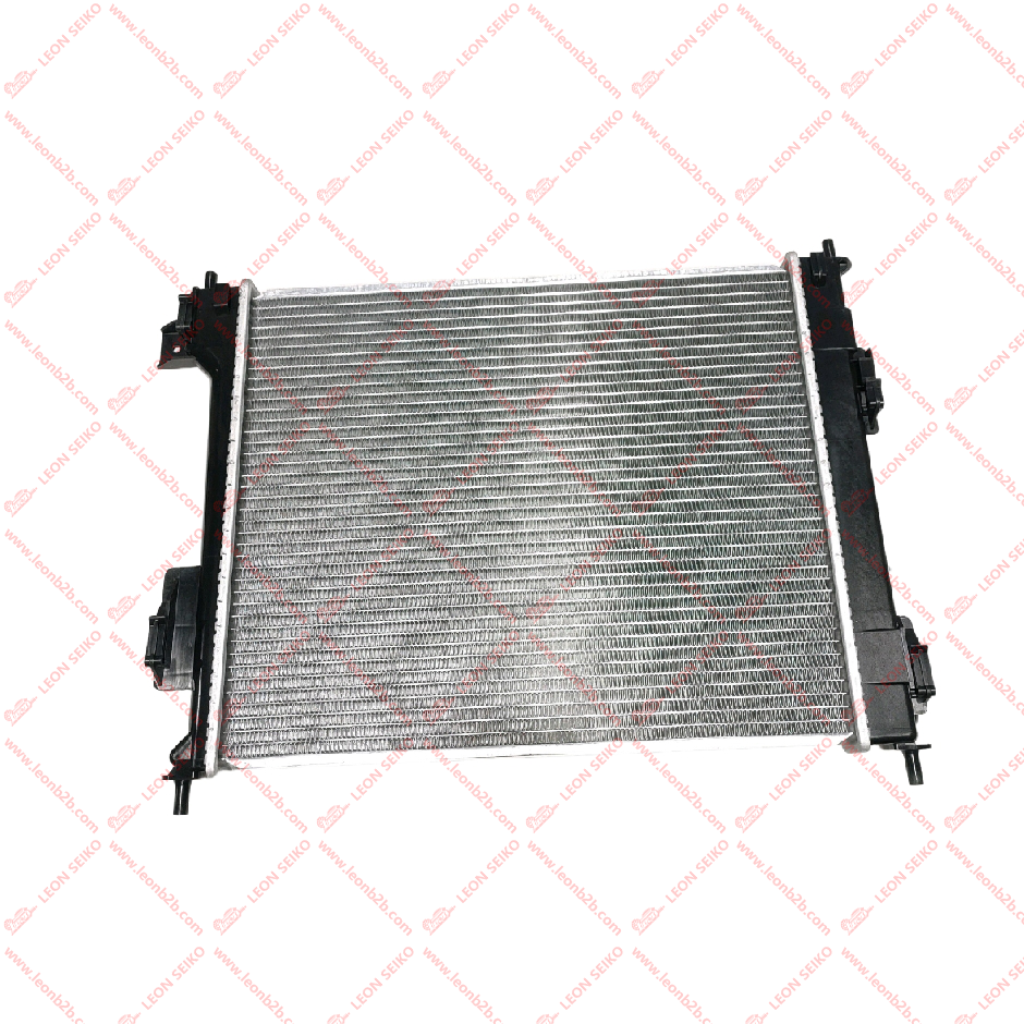 25310-B2450_LEON