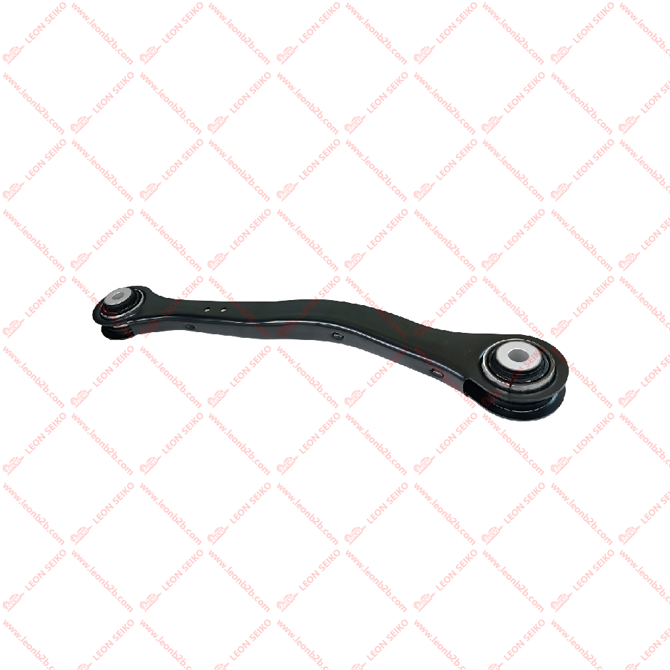 X01-29140027_LEON