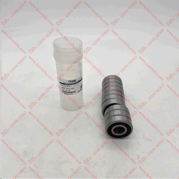 TZ-6304-2RS_CNAB