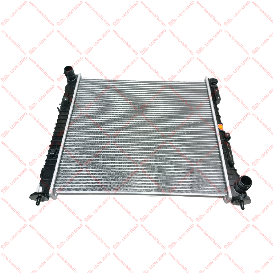 25310-P2000_LEON