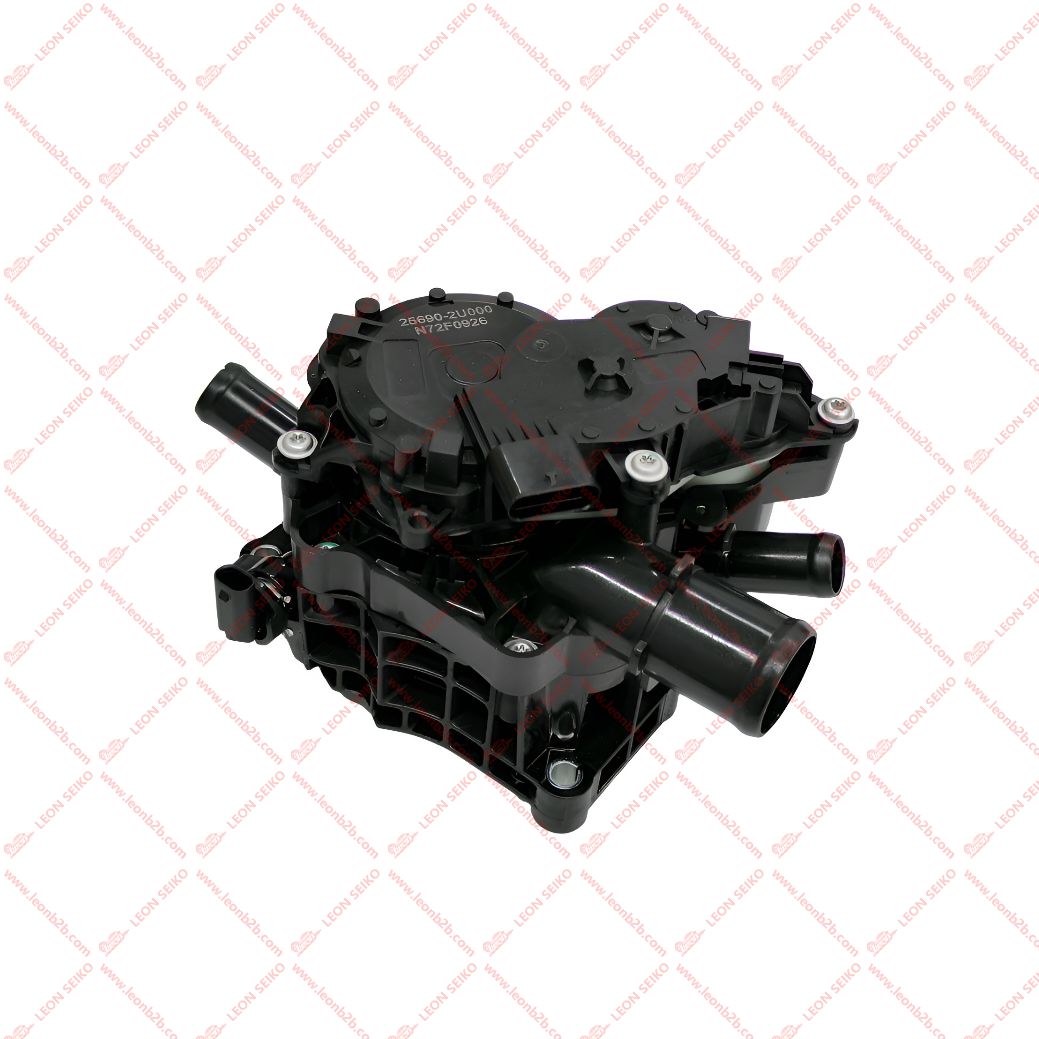 25690-2U000_LEON