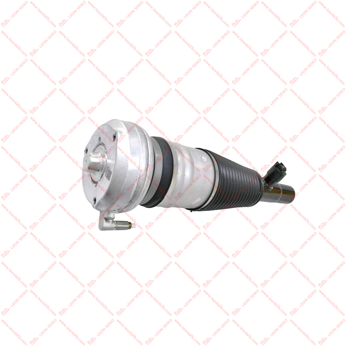 X01-29150020_LEON