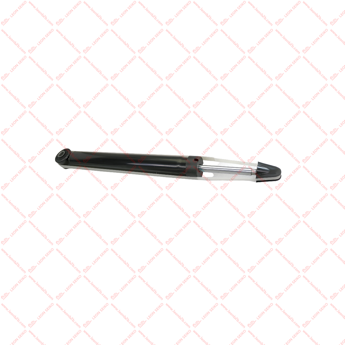 202000043AA-1_LEON