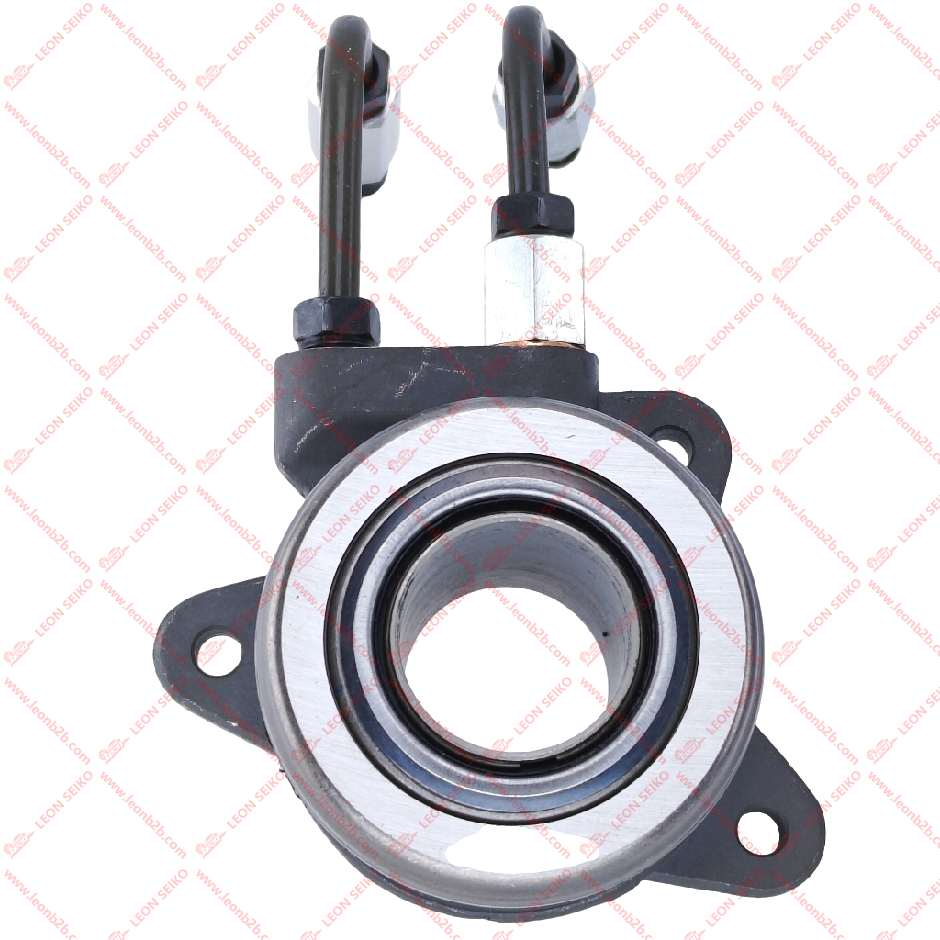 41421-24350_LEON