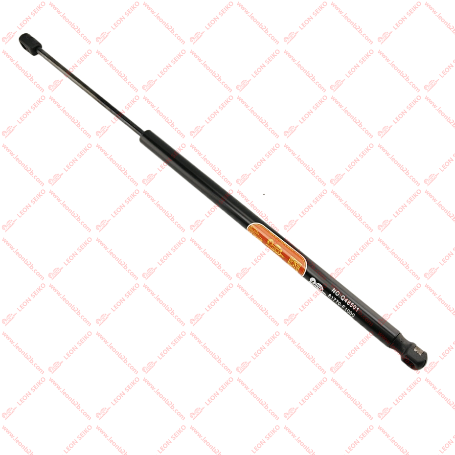 81770-F1000_LEON