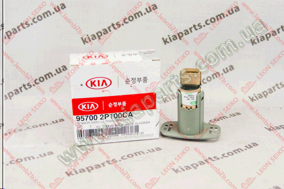 95700-2P100_LEON