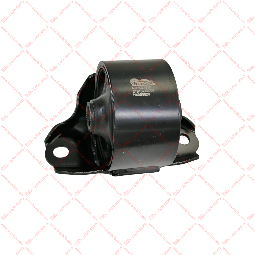 21910-0Q000_LEON