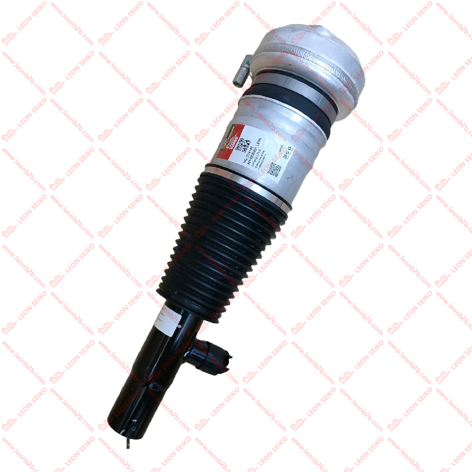 X01-29050021_LEON