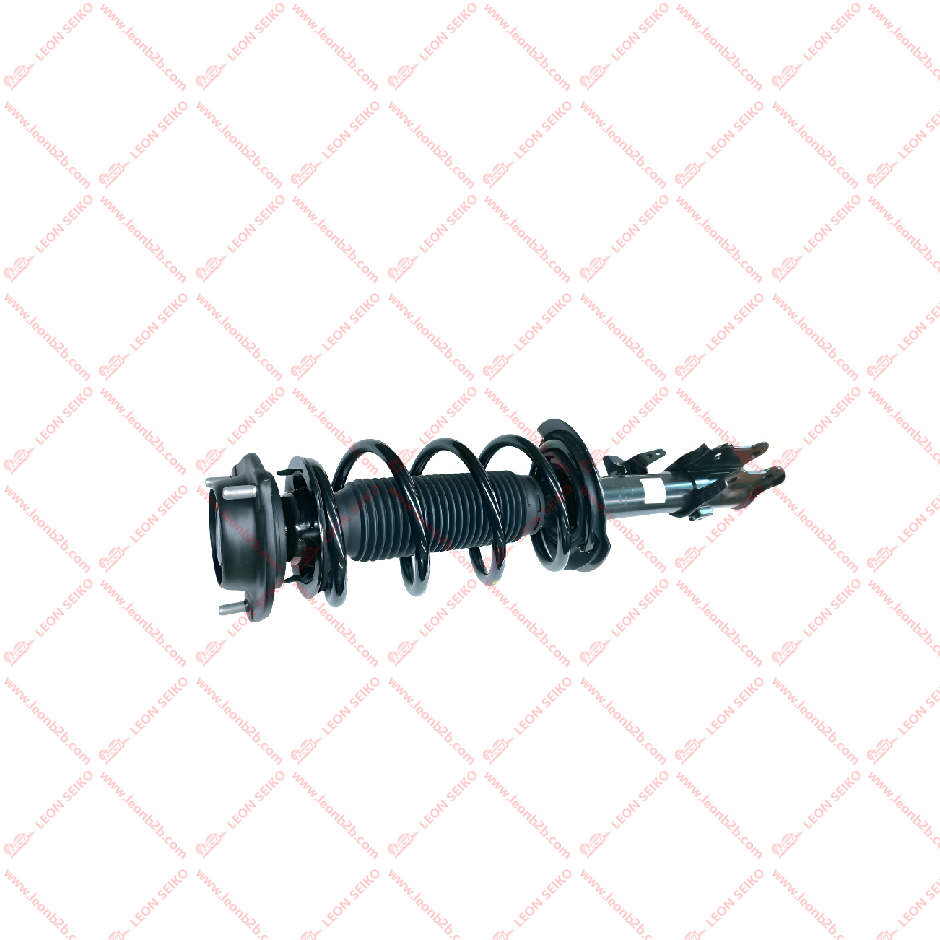 2904200-W01-BA_LEON