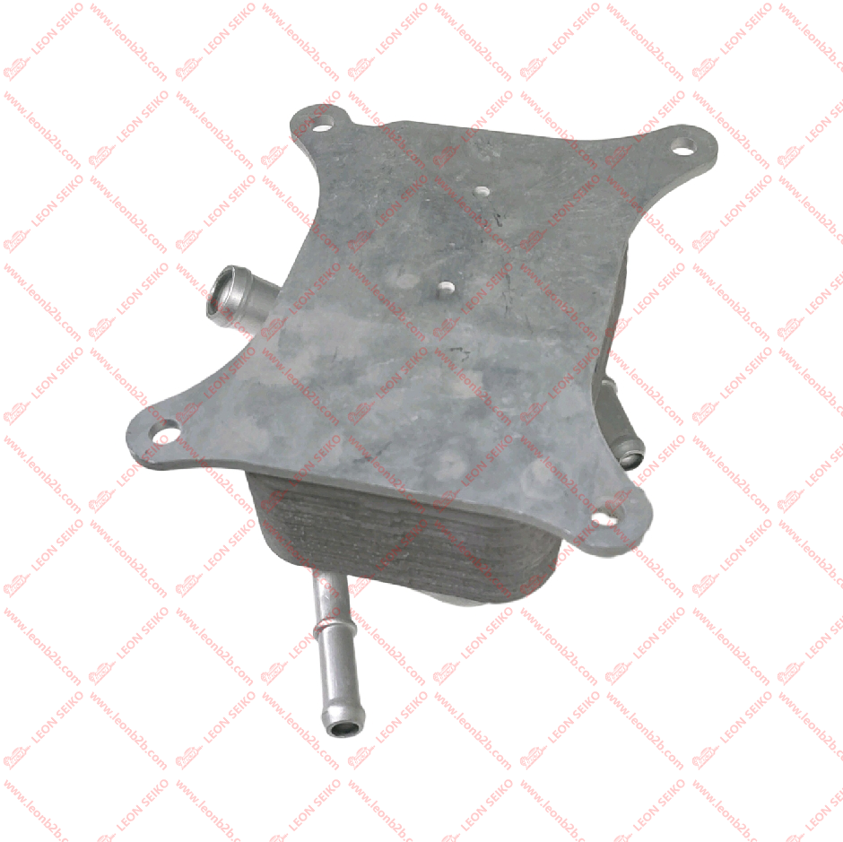 25620-L0100_LEON