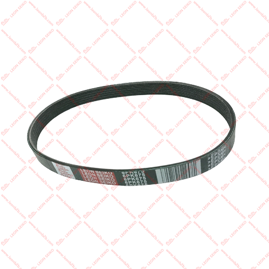 6PK675_LEON